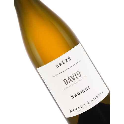 Arnaud Lambert 2021 Saumur Breze "David", Loire Valley Arnaud Lambert 2021 Saumur Breze "David", Loire Valley